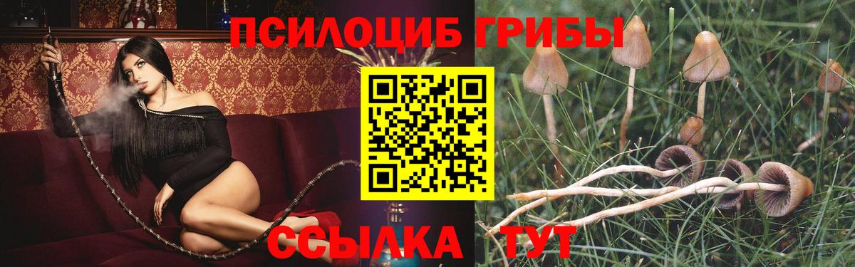 Галлюциногенные грибы MAGIC MUSHROOMS Пенза